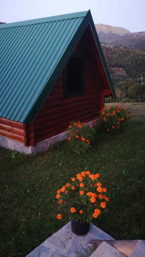 Villa Etno Selo Zuric Mojkovac Exterior foto