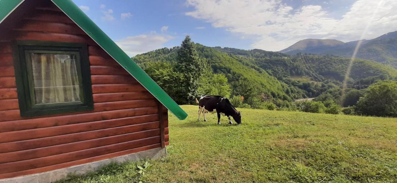 Villa Etno Selo Zuric Mojkovac Exterior foto
