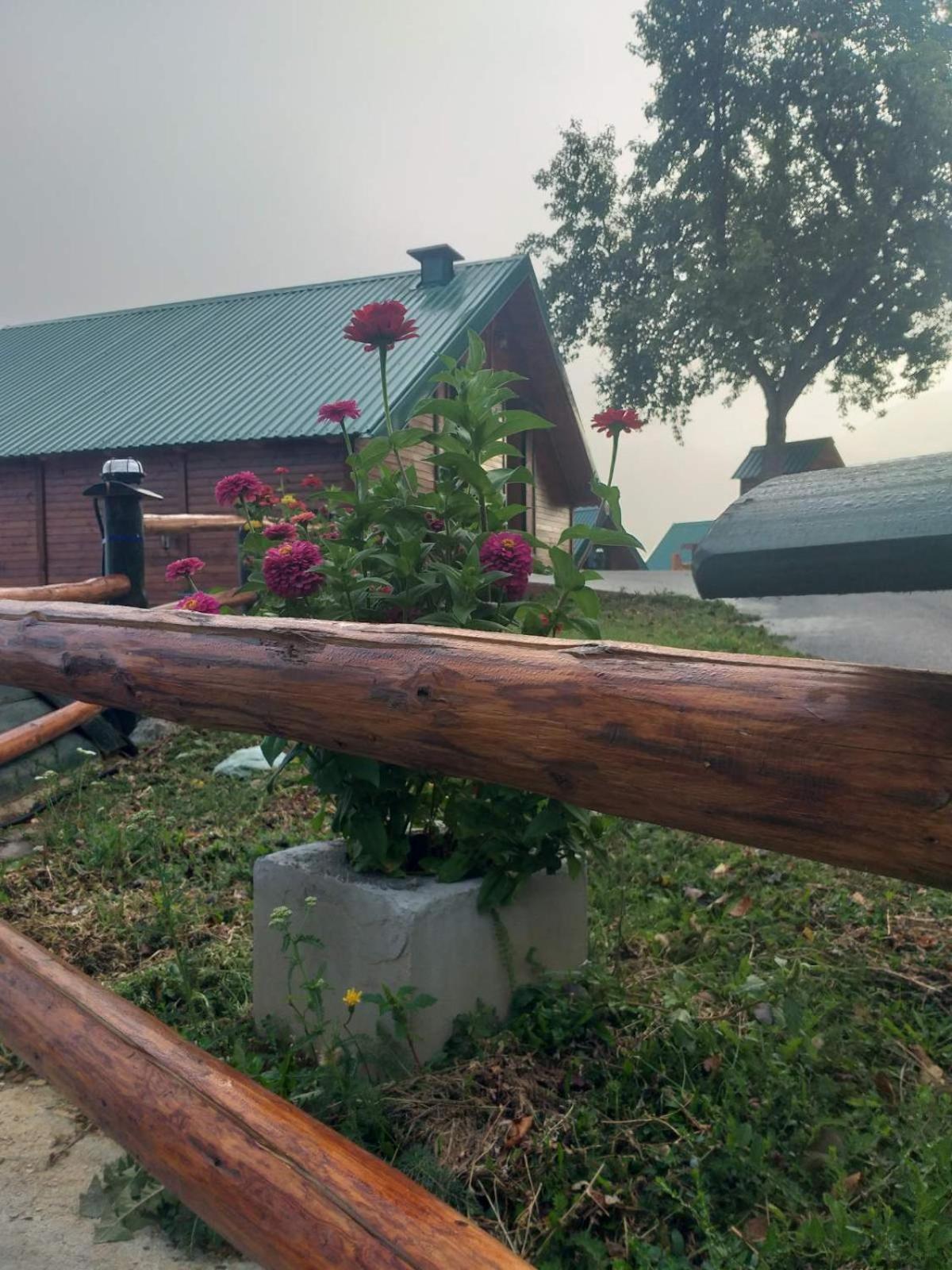 Villa Etno Selo Zuric Mojkovac Zimmer foto
